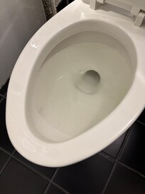This was the cleaner toilet. I neglected to take a photo of the first.
