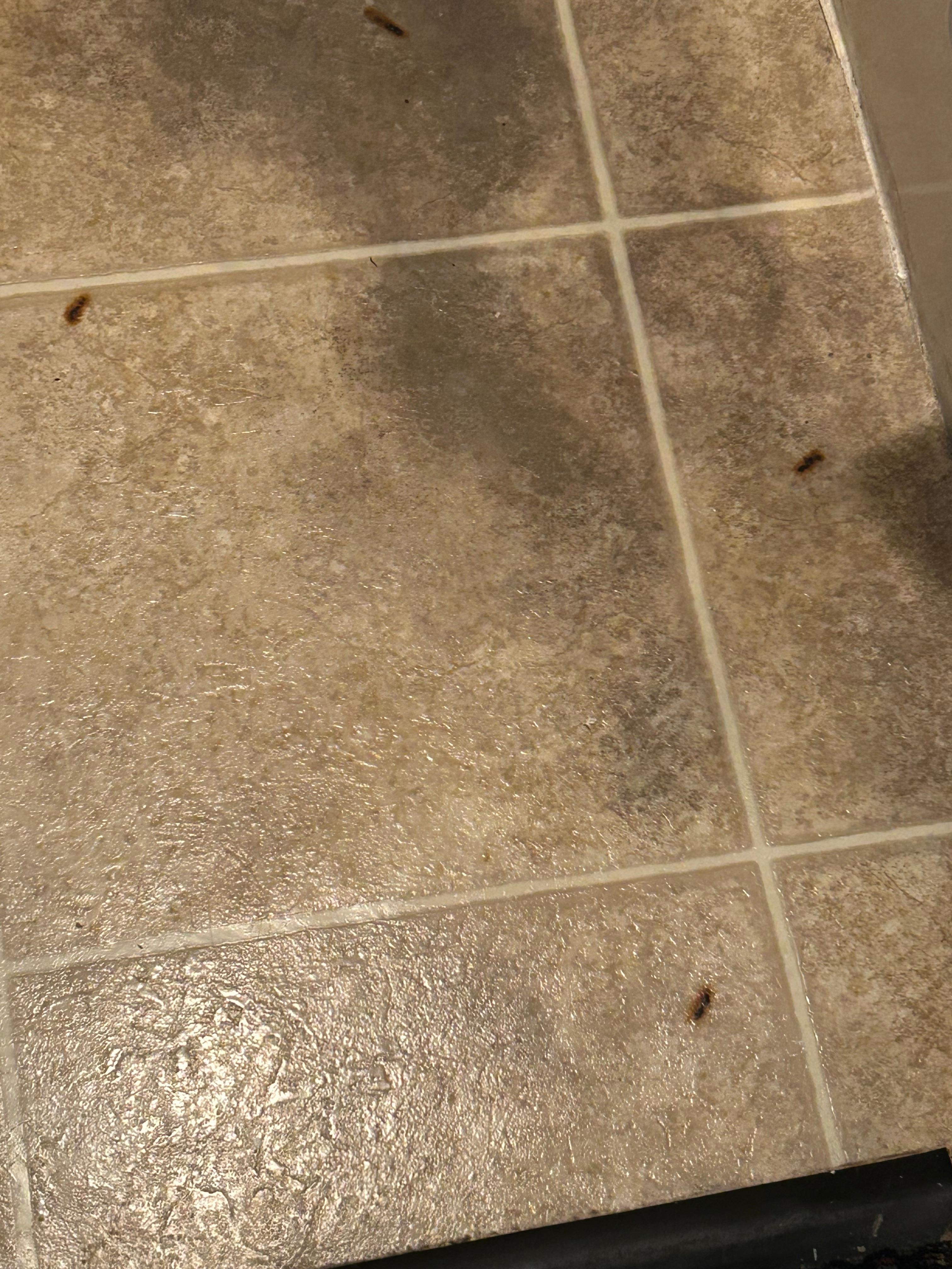 Burn stains on bathroom floor. 