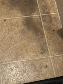 Burn stains on bathroom floor.