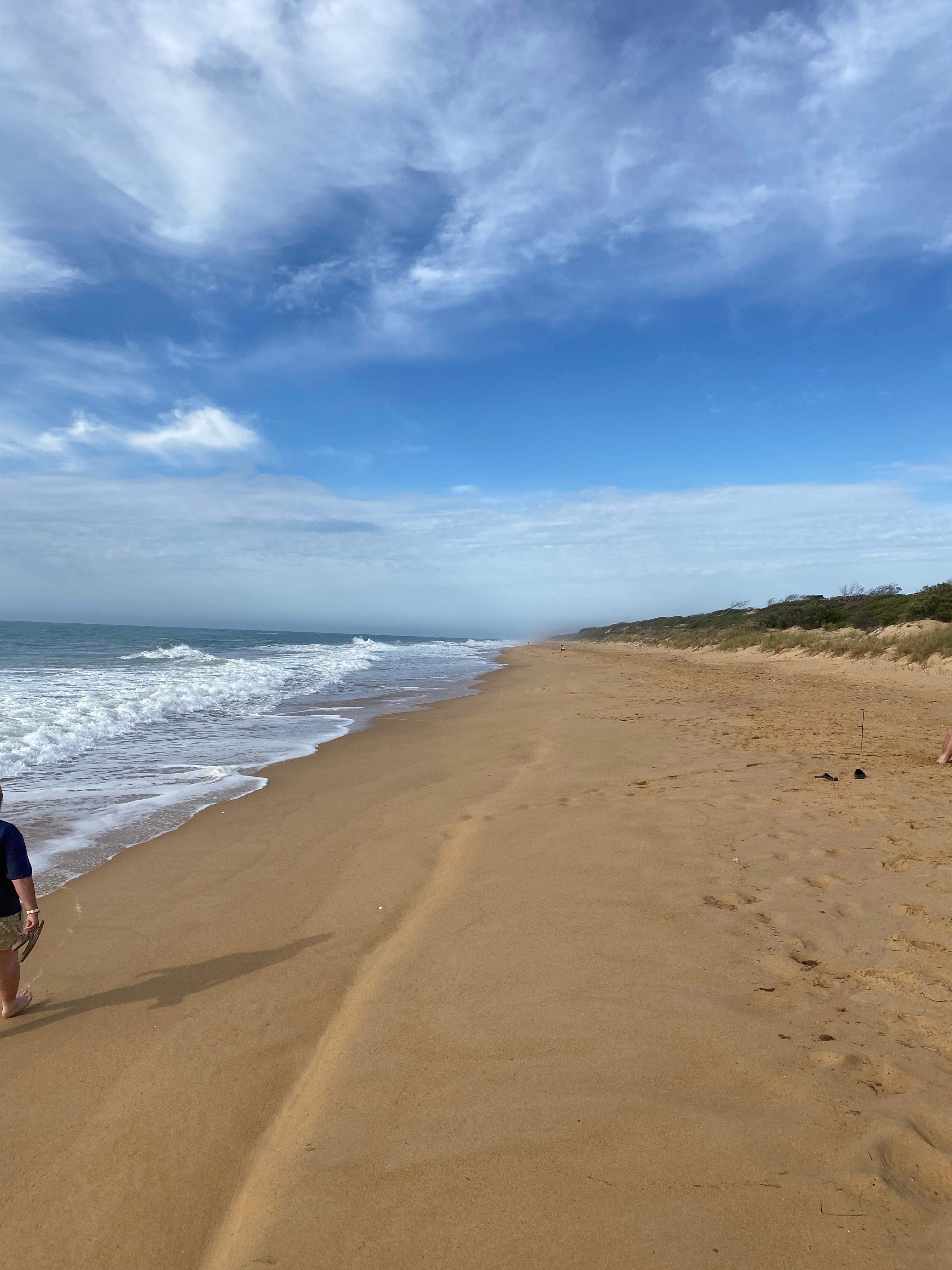 Quiet beach walks with none of the Christmas madness. 