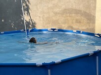 Pool für den Enkel