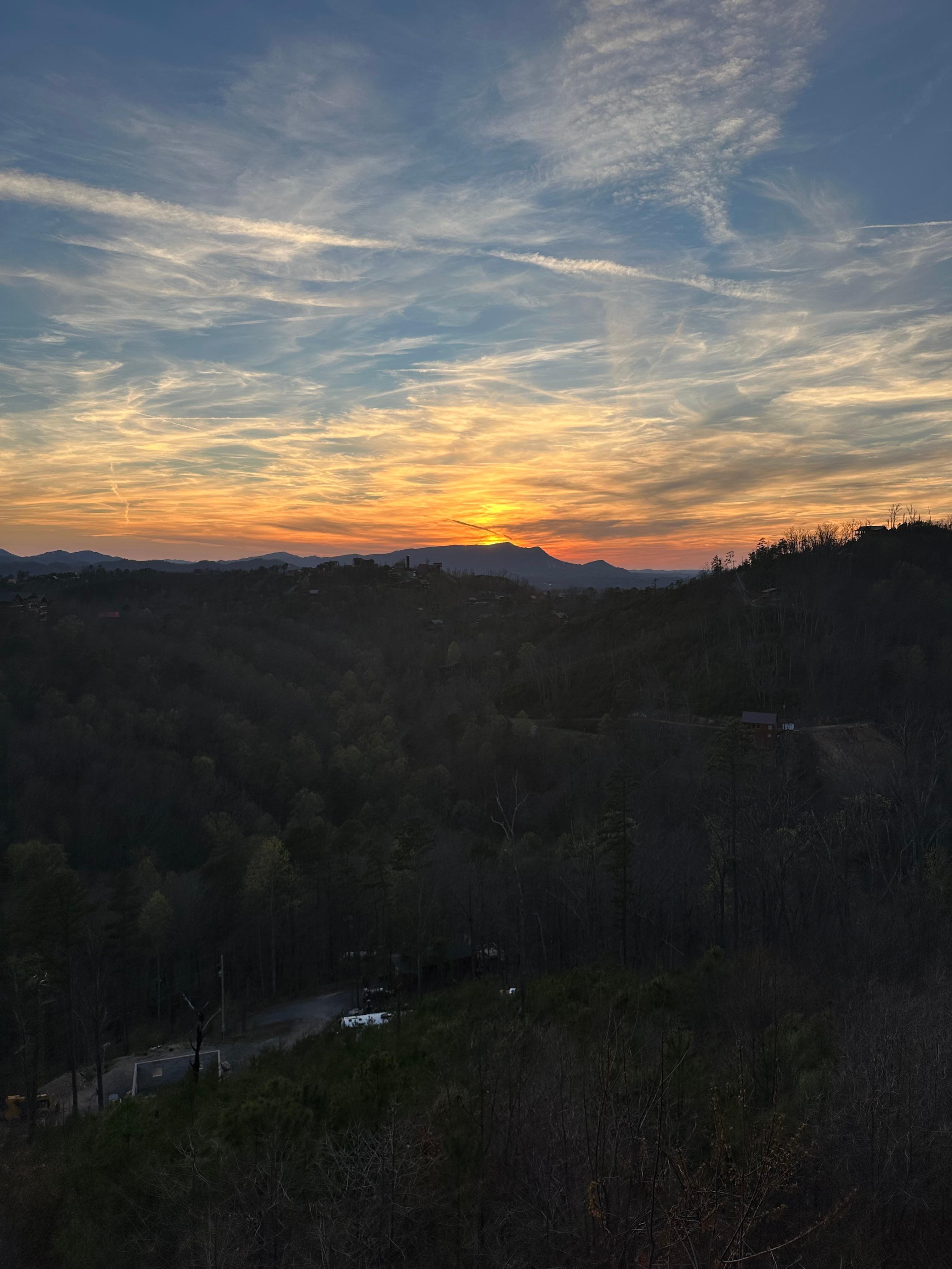 View from the back porch. 