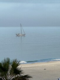 On voit des dauphins tous les jours. J'y serais rester 3 jours de plus!
