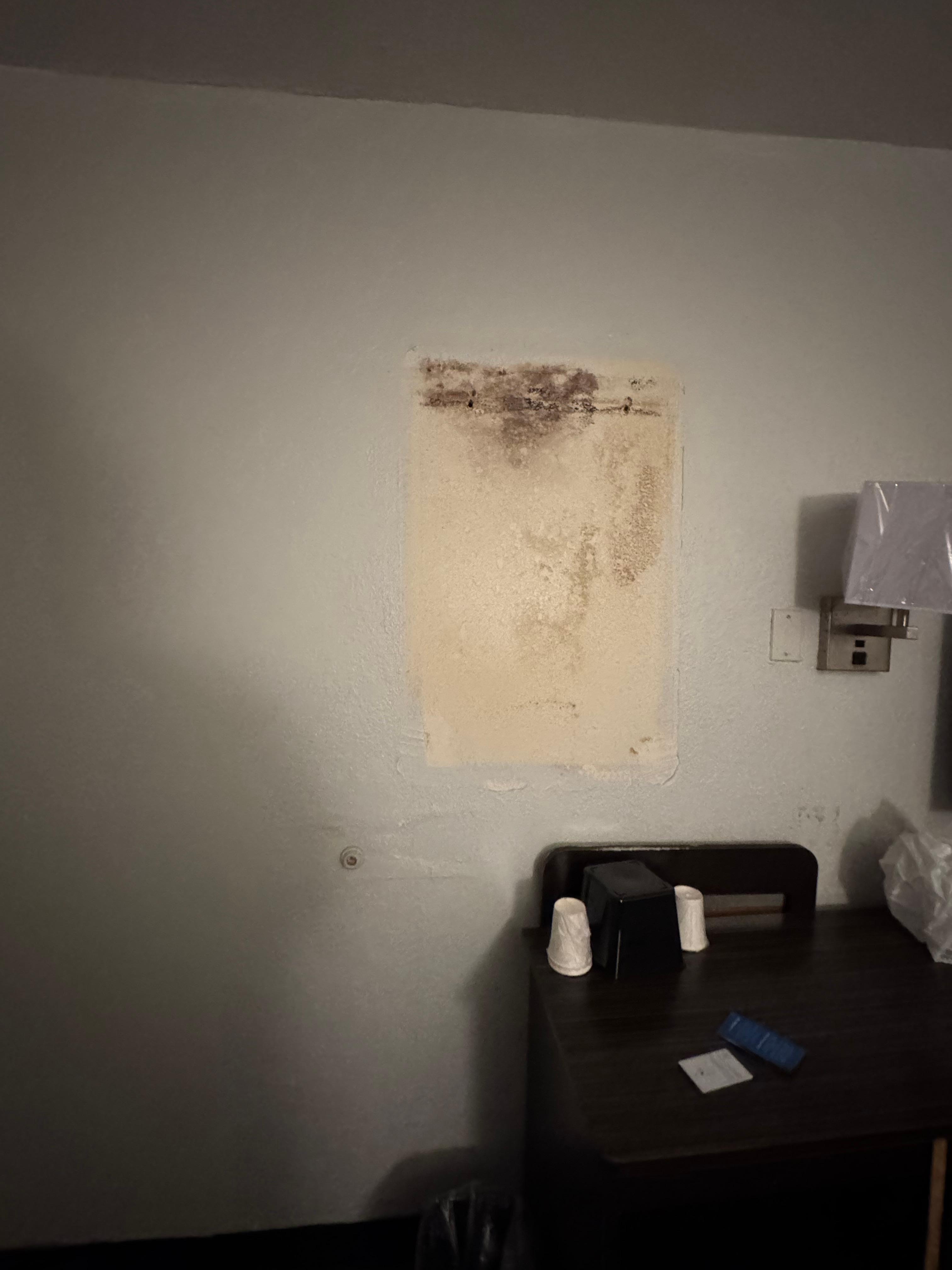 Not even sure this is just a part of the wall very obviously molding