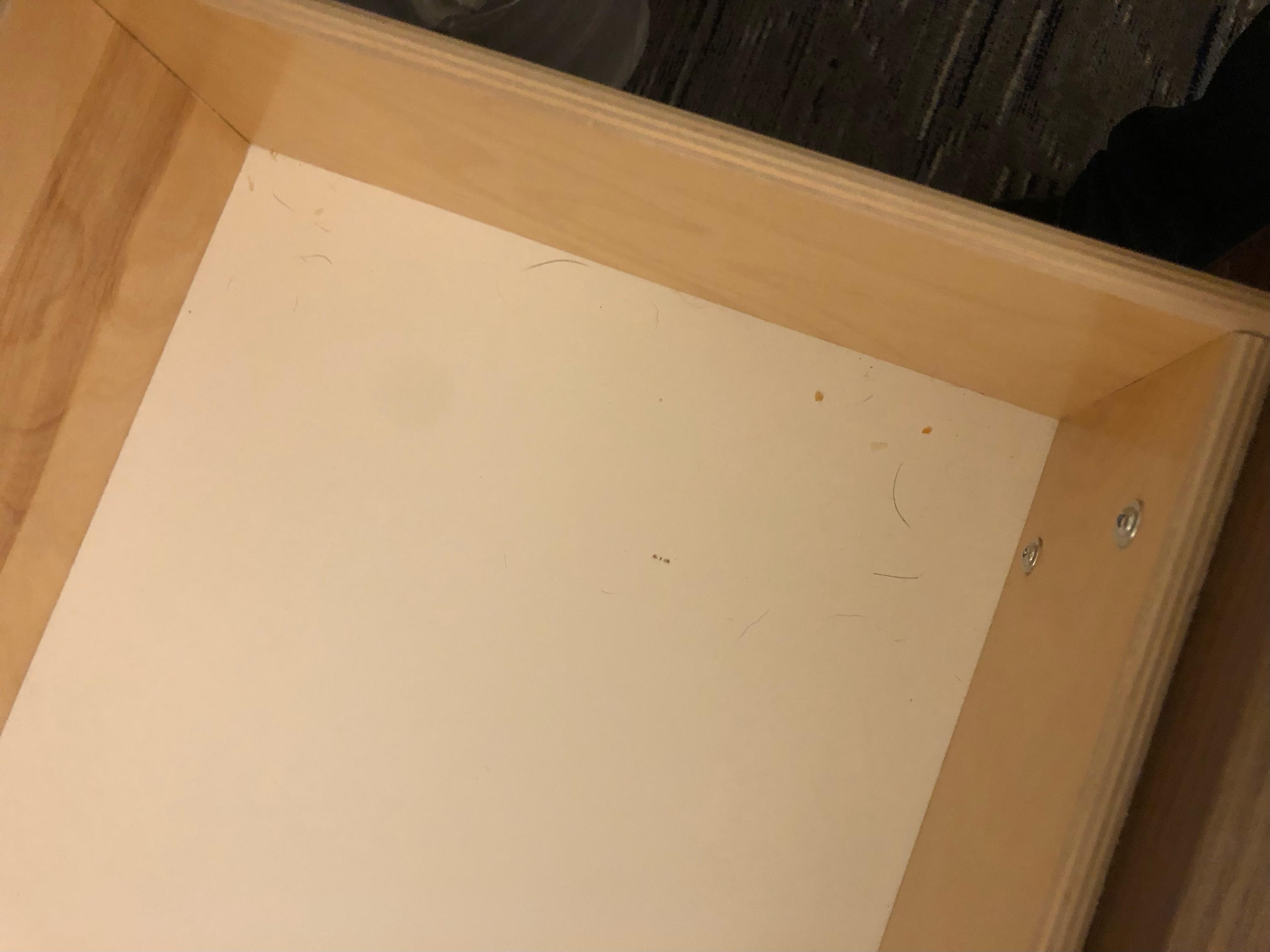 Dog hair and crumbs in drawer