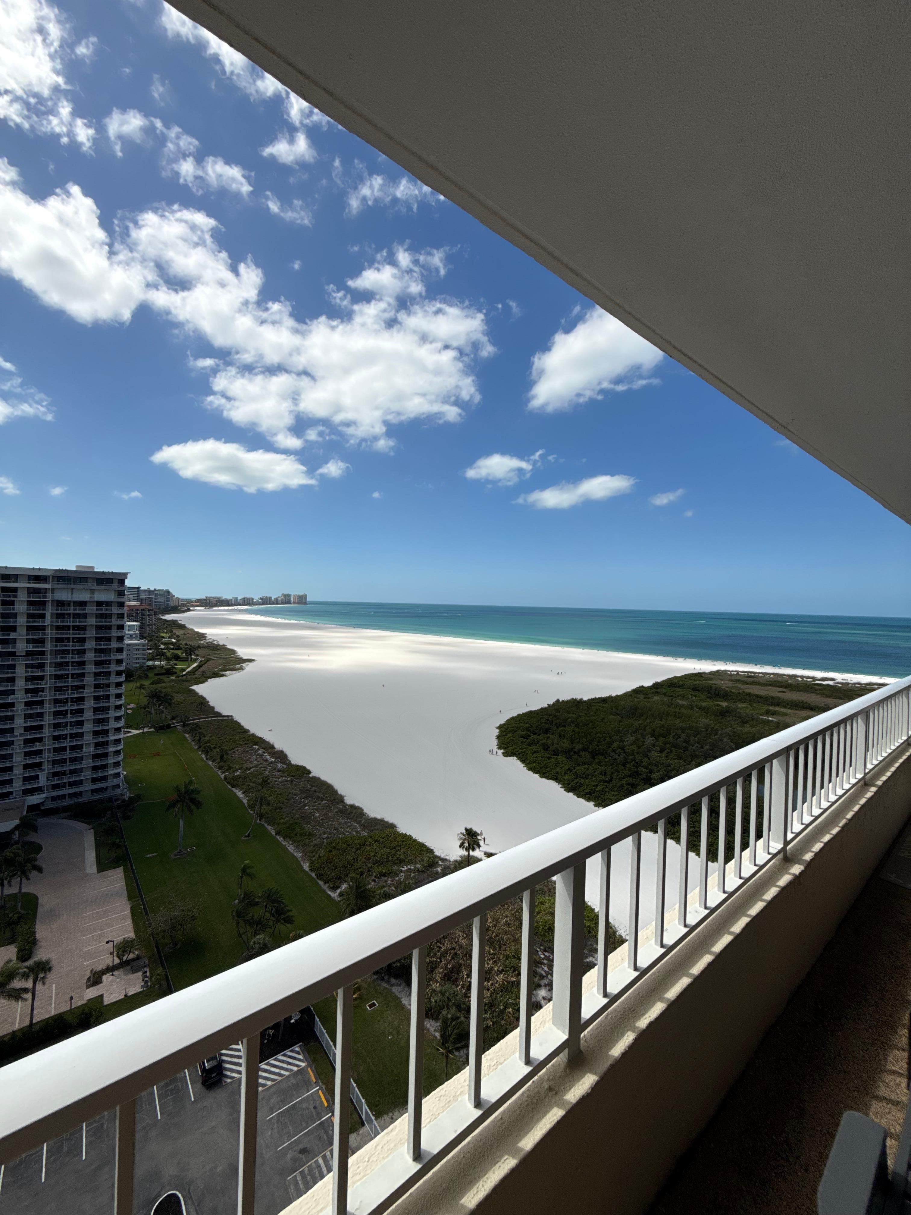 Morning from the deck.