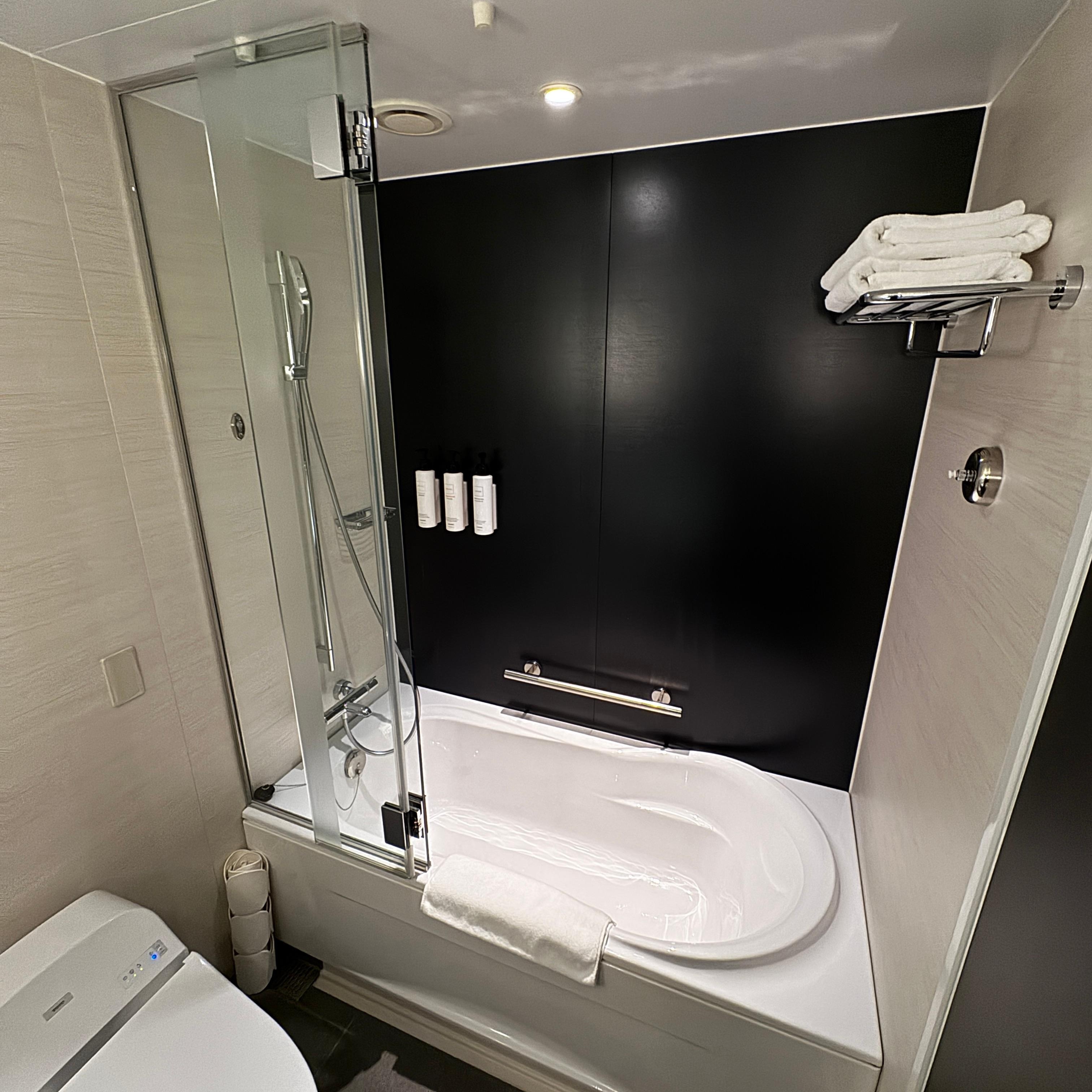 Toilet and wash area