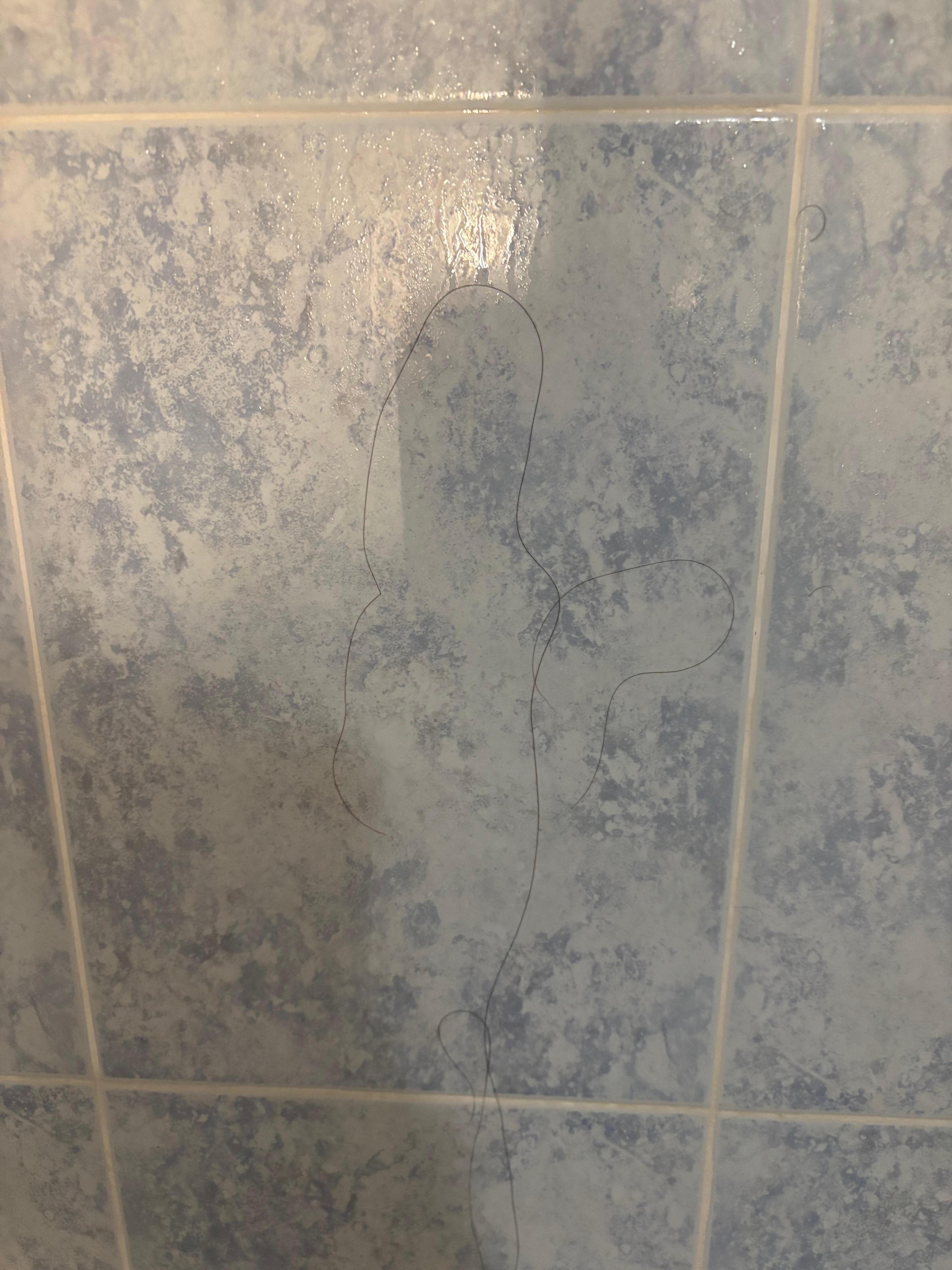 Hair on shower wall