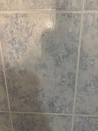 Hair on shower wall