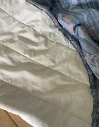 Urine stains on comforter