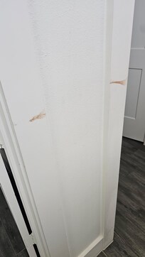 Poop on wall!