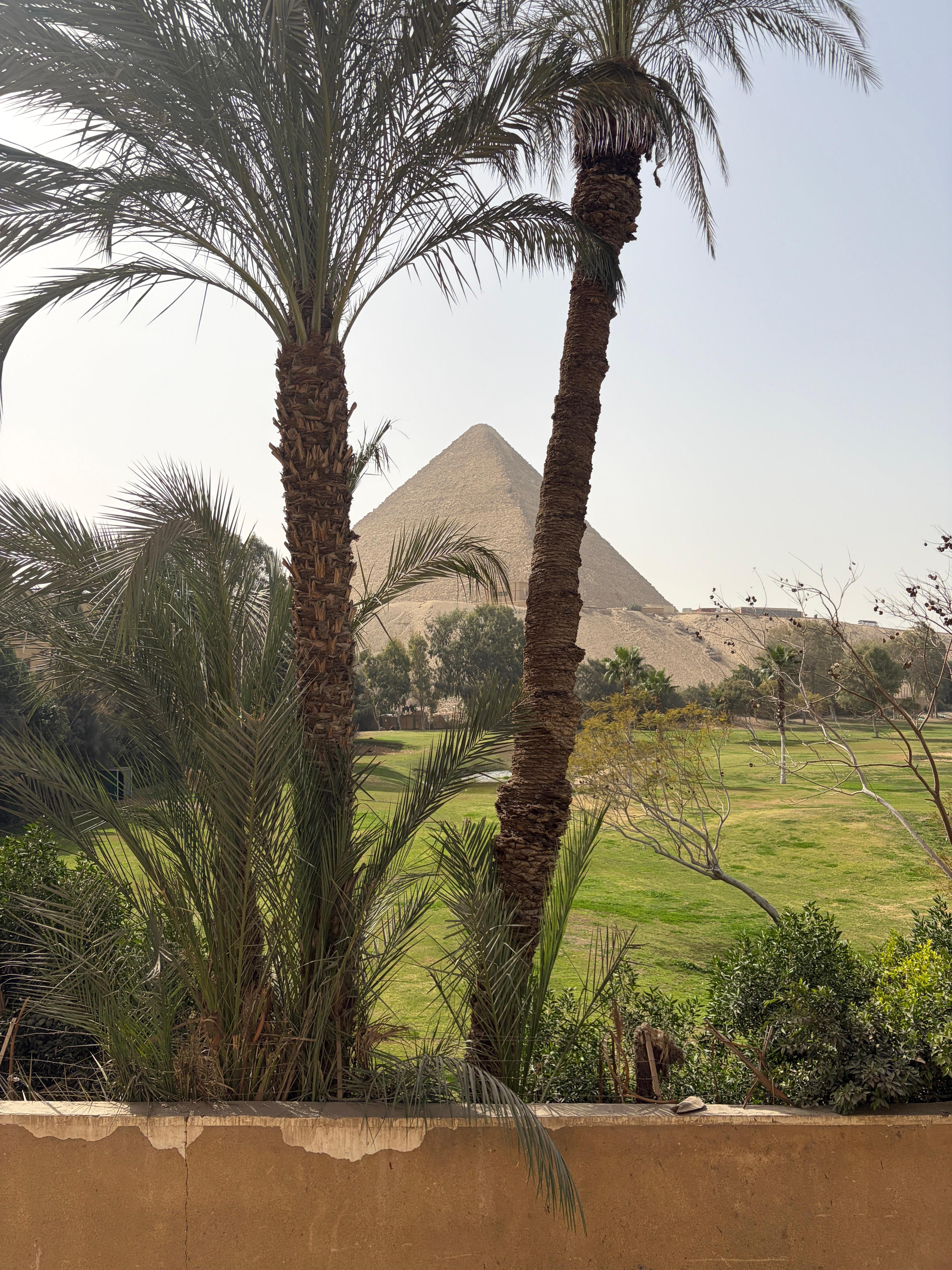 Private window/balcony view.