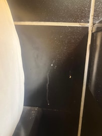 Dust and unknown substances throughout room