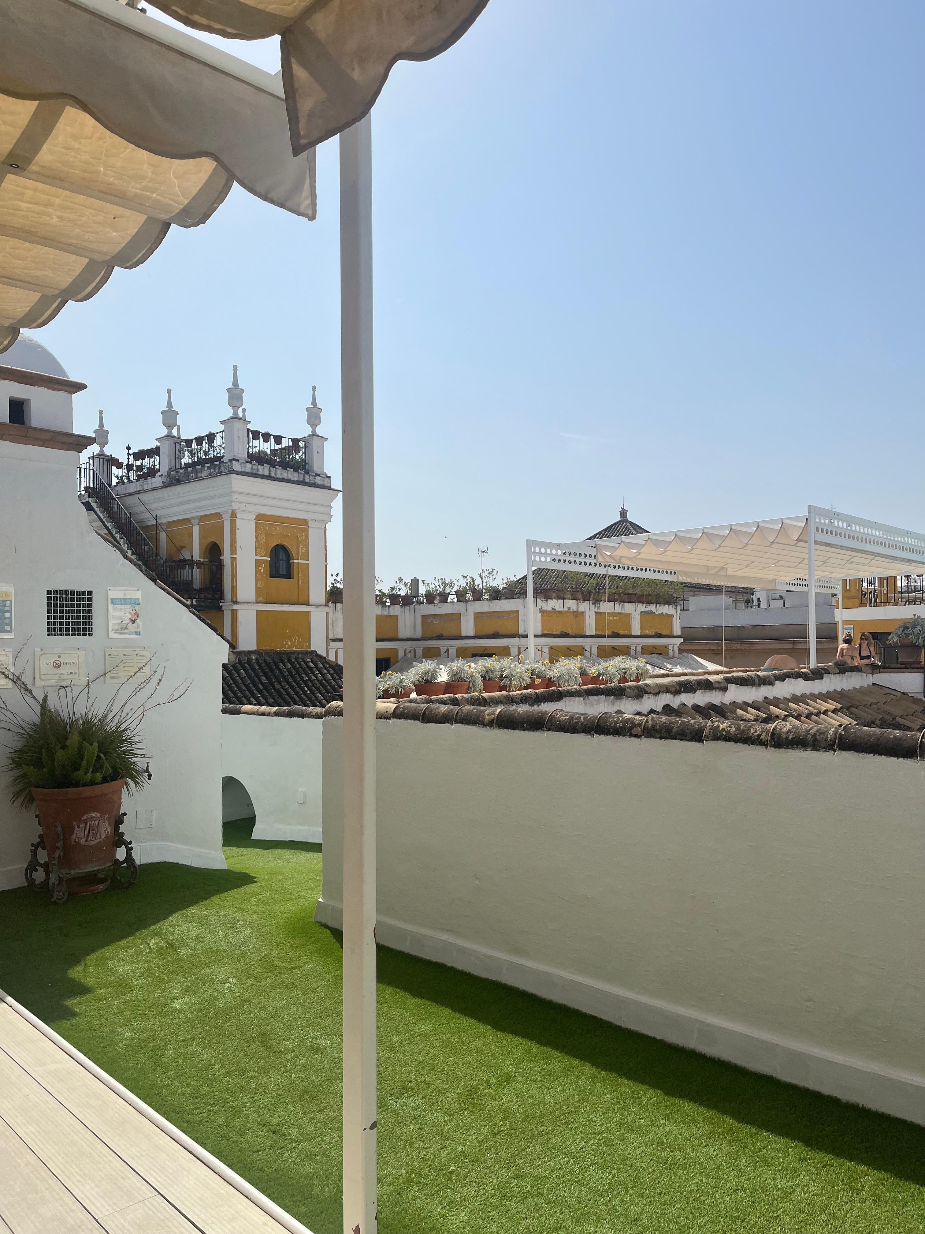 Rooftop bar/pool