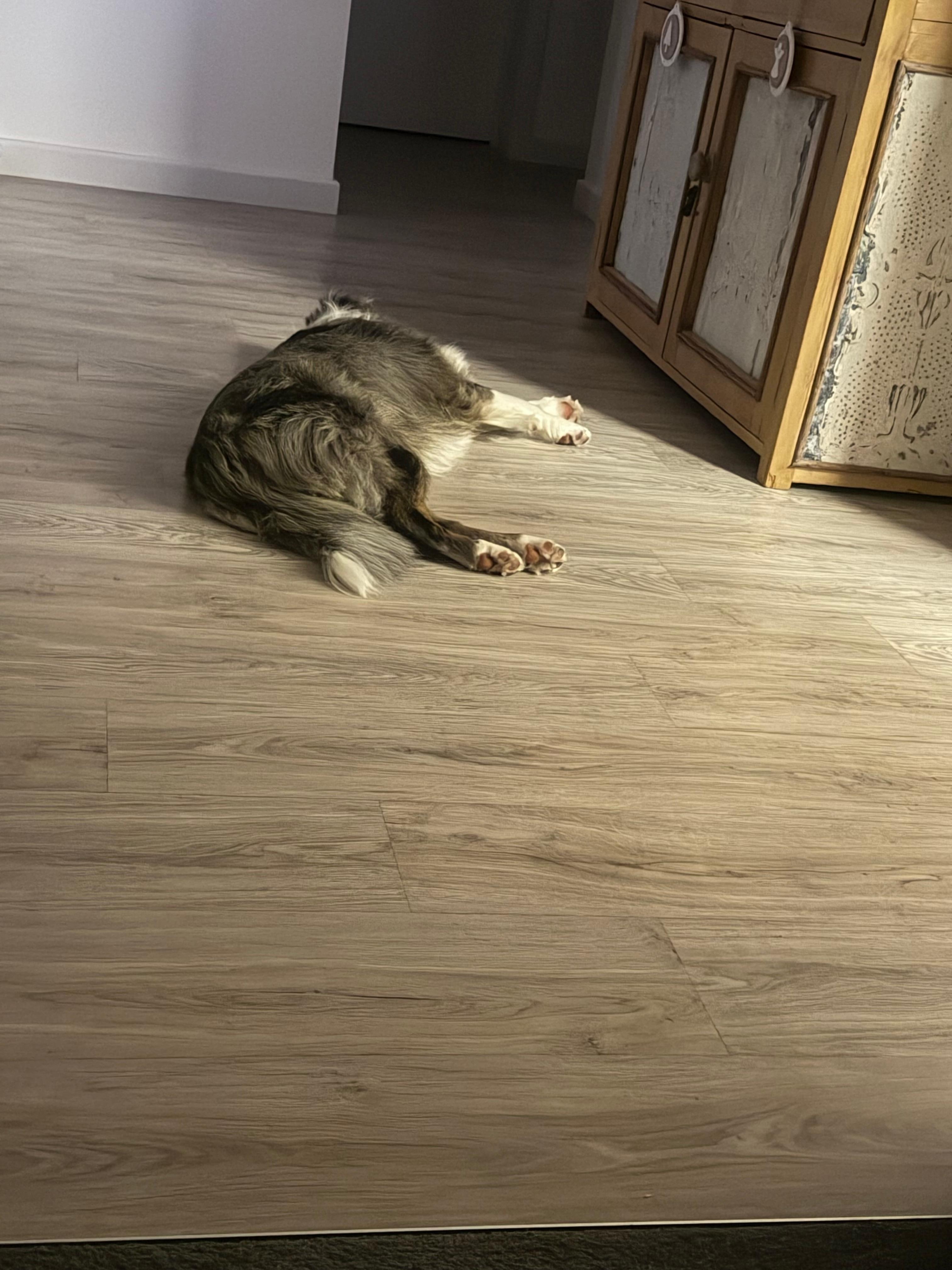 Merley loved the relaxed vibe of Gums and Roses