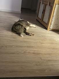 Merley loved the relaxed vibe of Gums and Roses