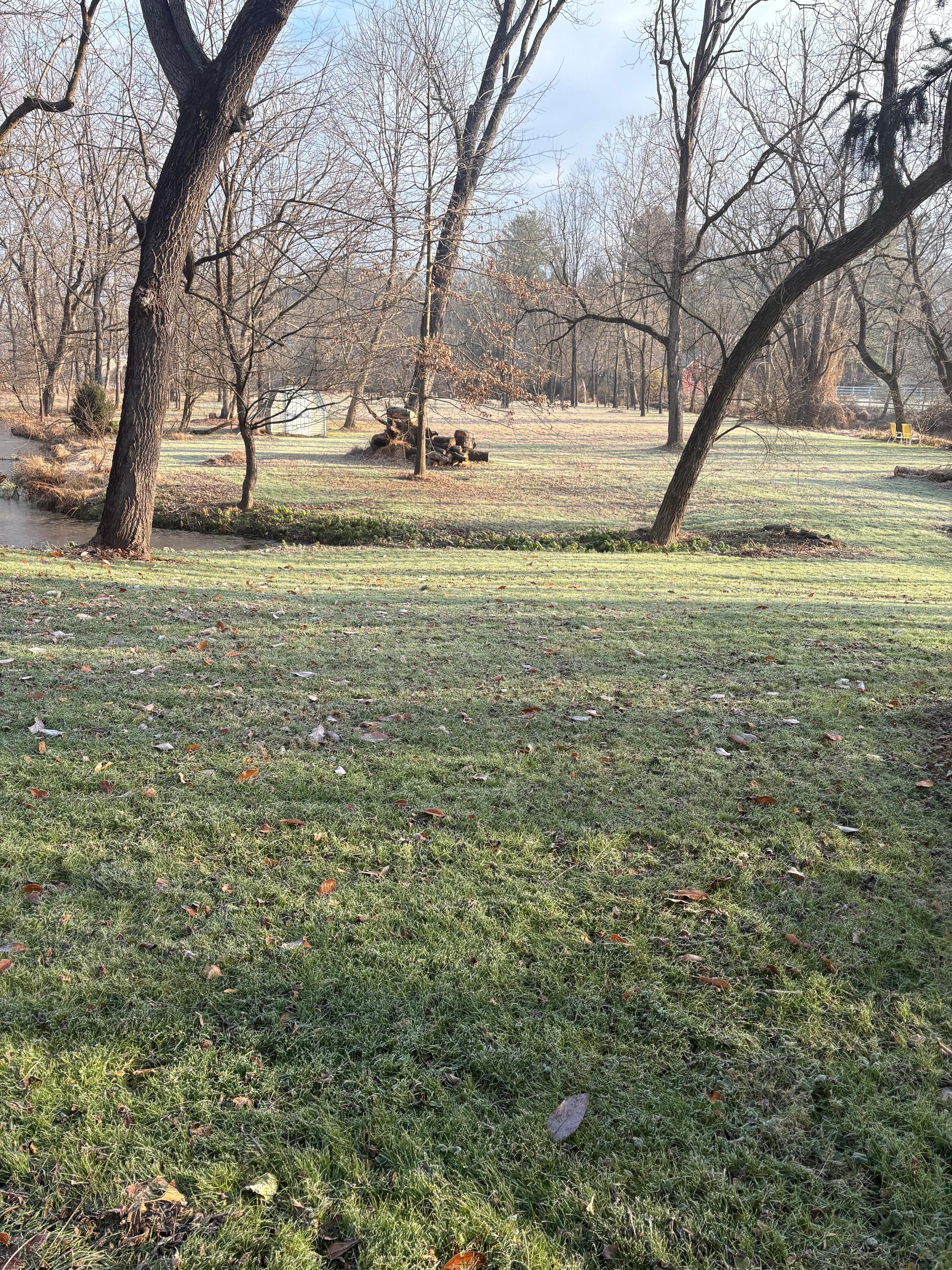 One view of backyard