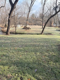 One view of backyard