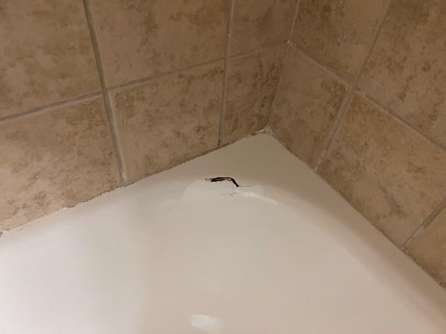 Tube in the master bath was cracked in two places