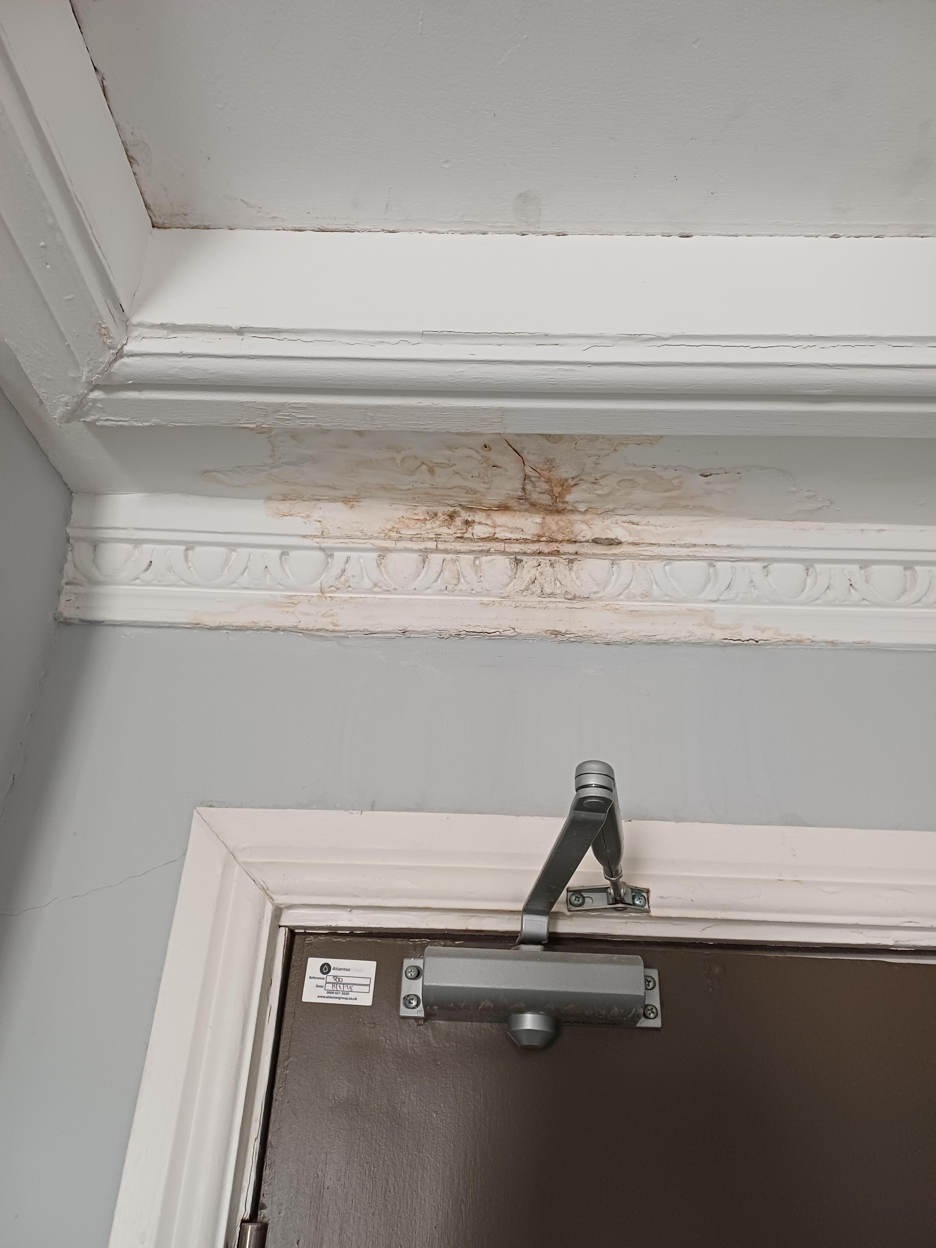 Ceiling mould