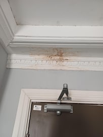 Ceiling mould
