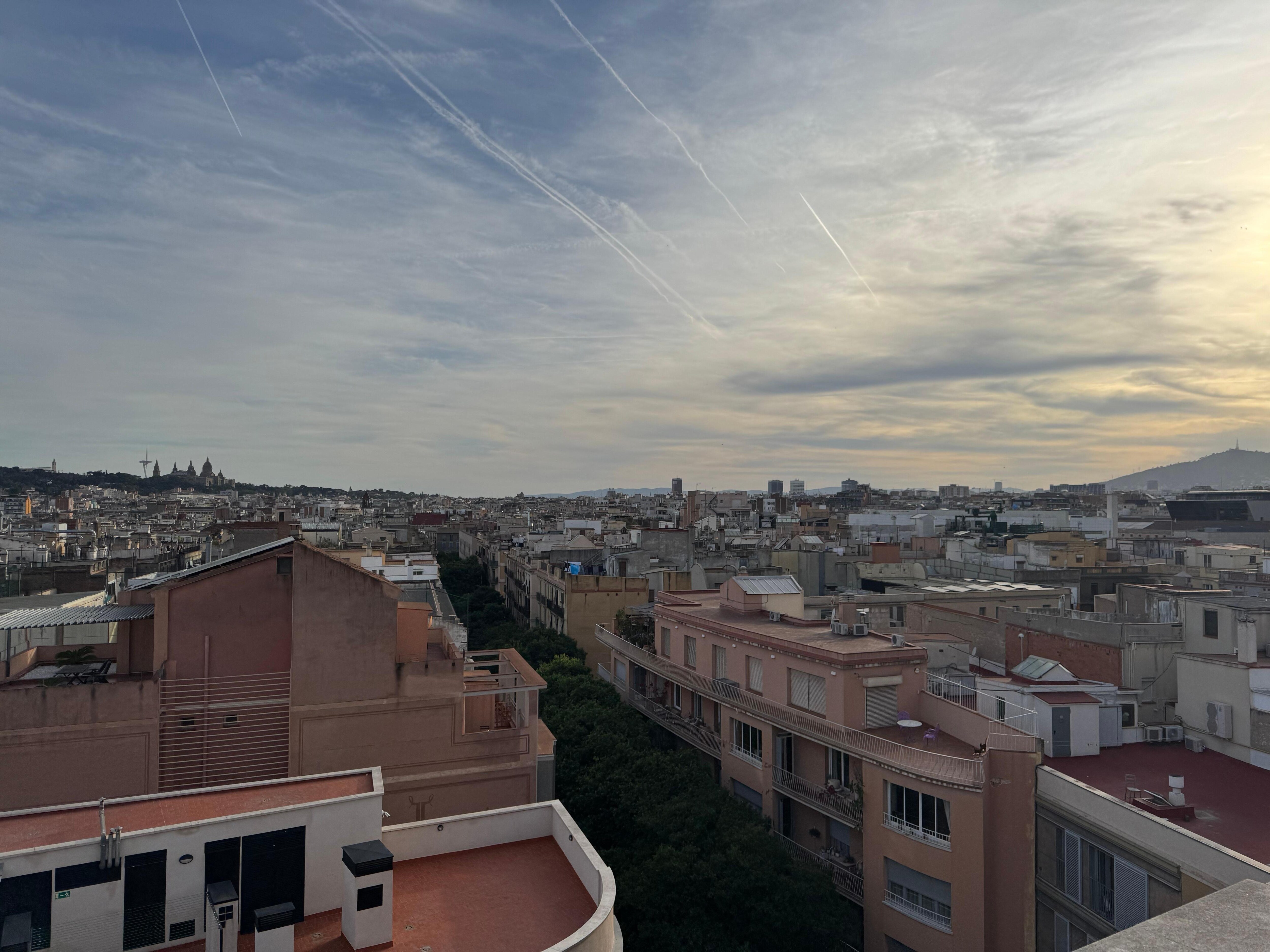 Daytime rooftop views