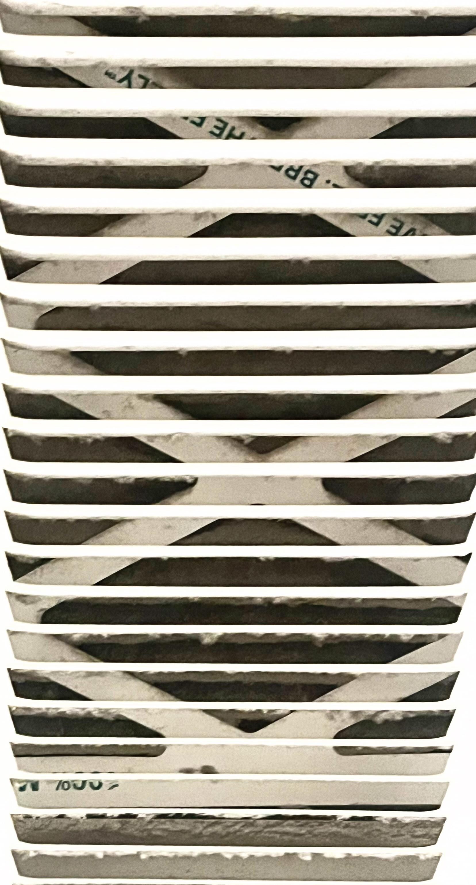 Mold contaminated HVAC intake filter