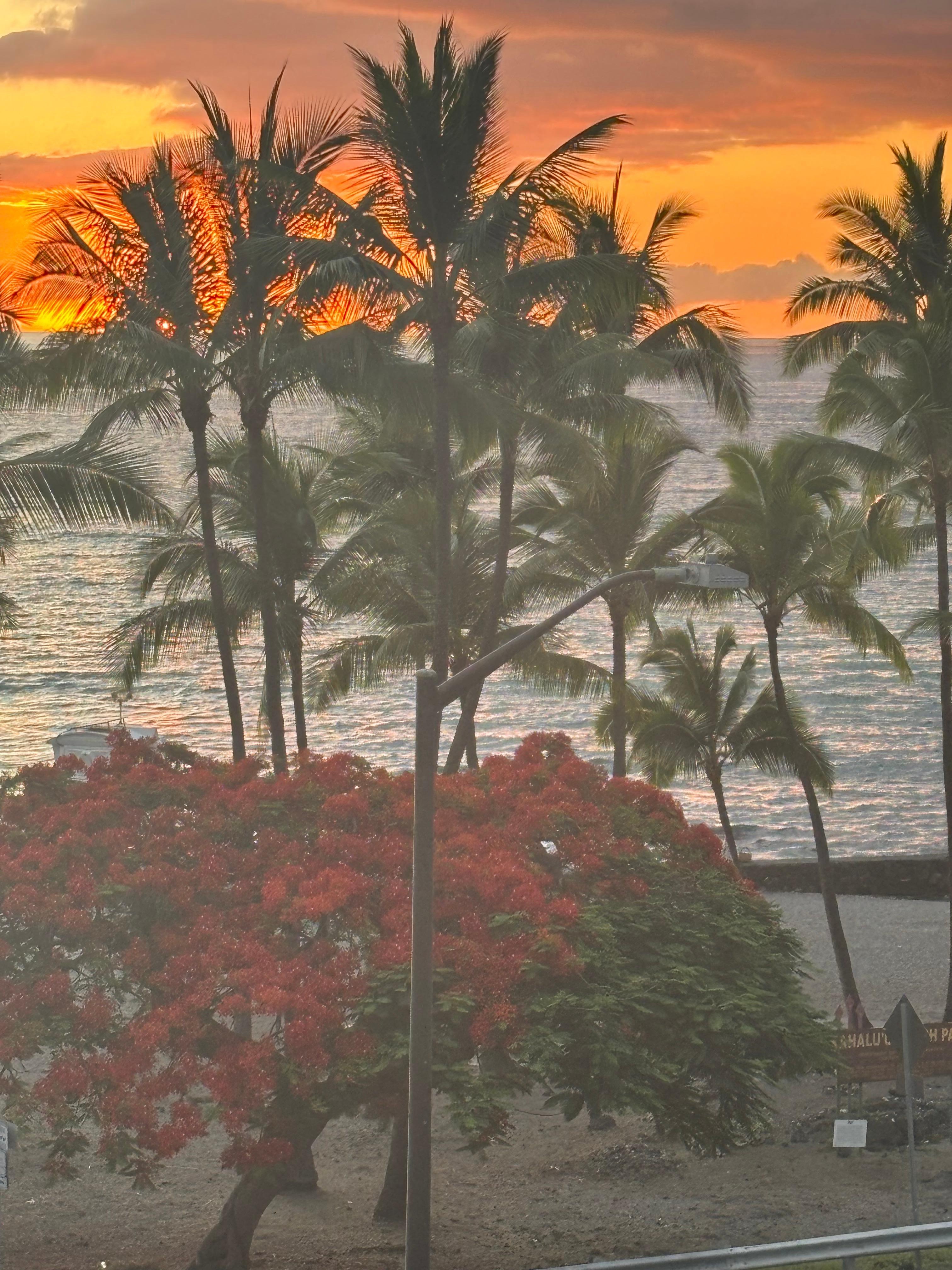 View from our balcony!