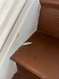 Hazard on the stairs