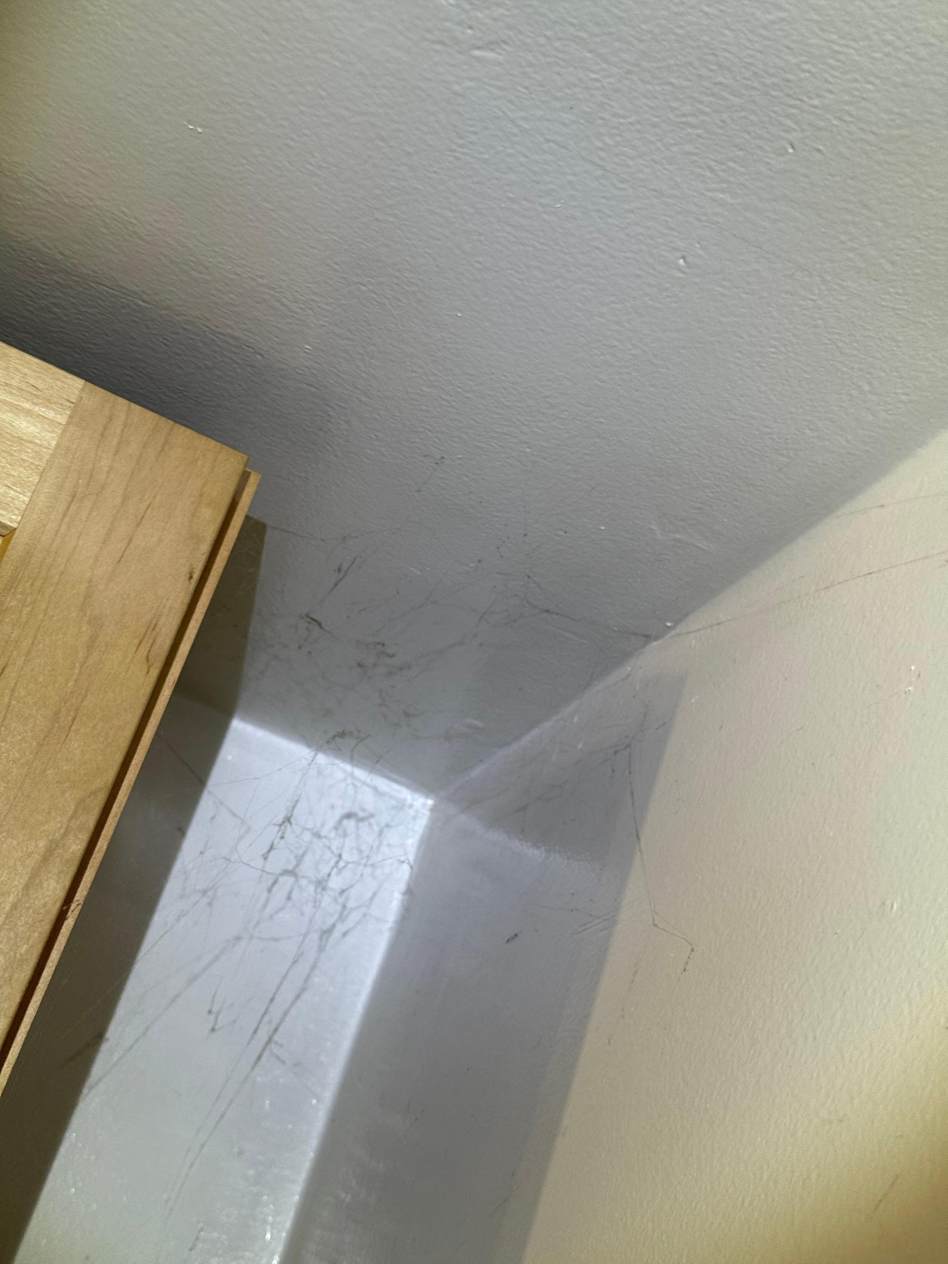 Cobwebs