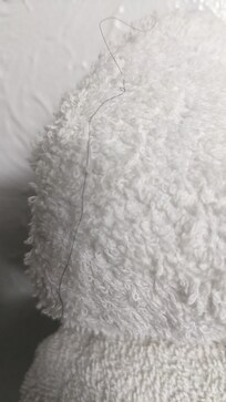 Hair on bathroom towel.
I didn't want to take pictures in front of the owner of the other room I was offered.