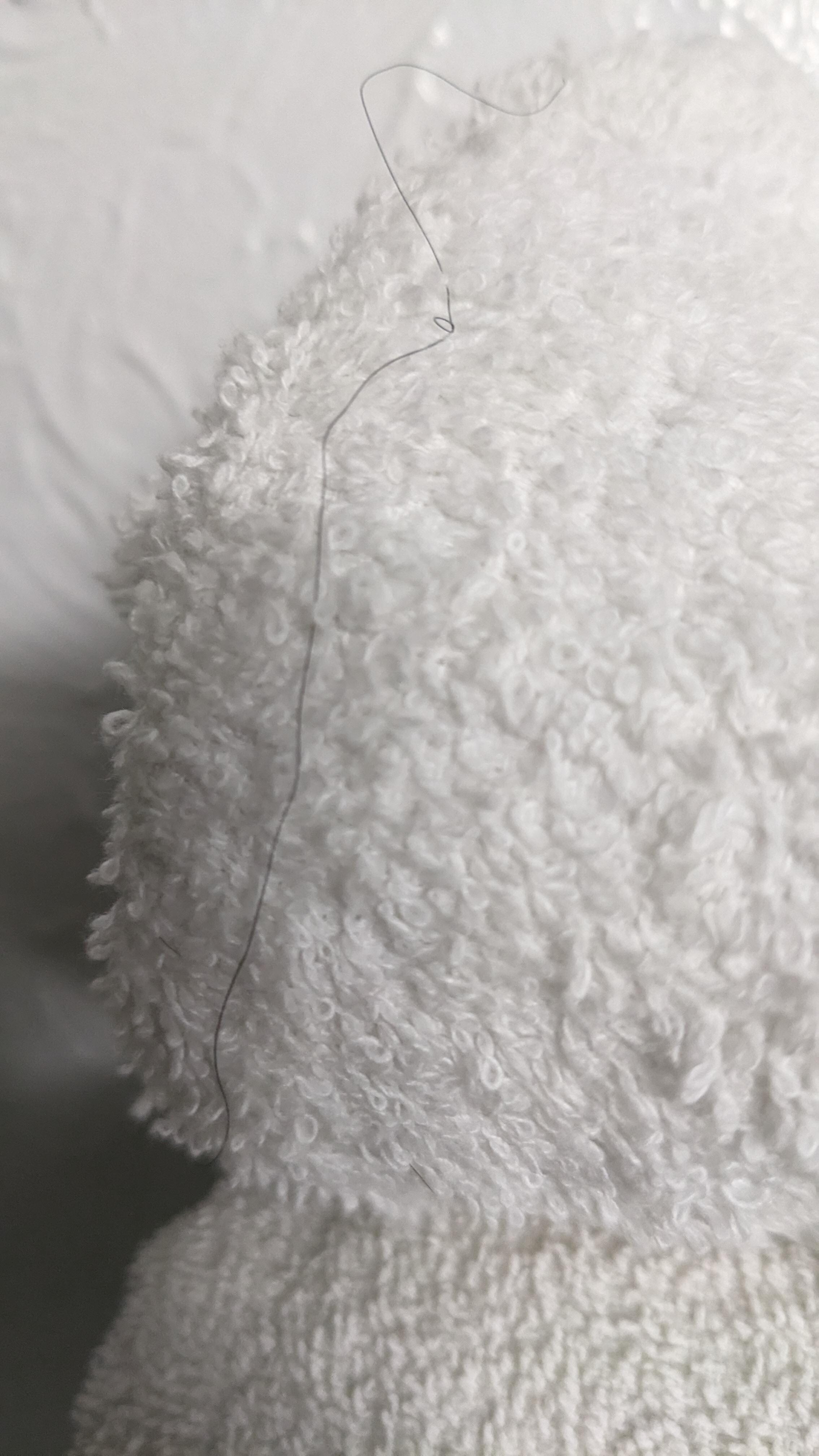 Hair on bathroom towel. 
I didn't want to take pictures in front of the owner of the other room I was offered.