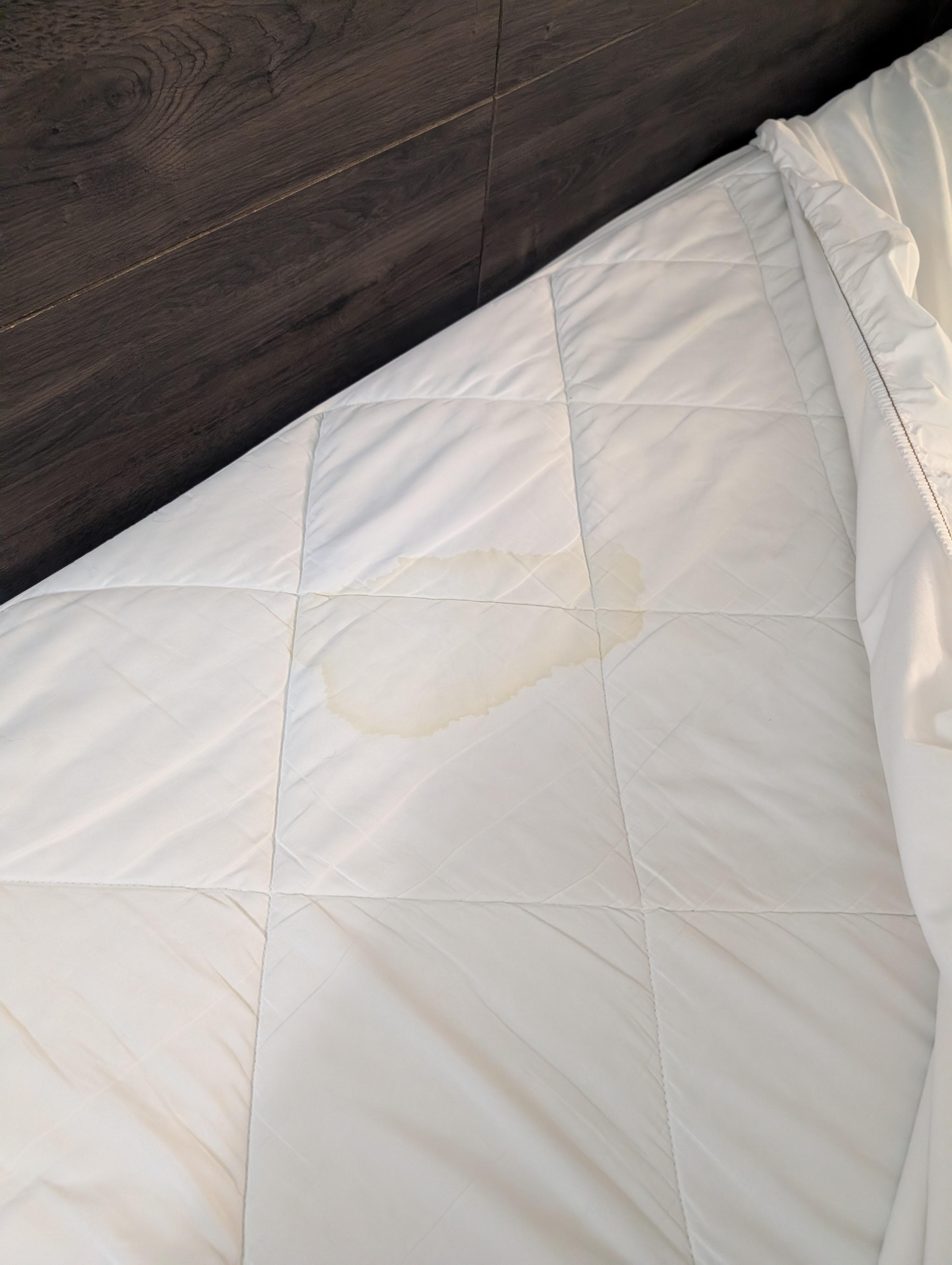 Fresh stains found on the mattress cover.