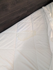 Fresh stains found on the mattress cover.