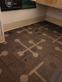 Deep brown stained carpets