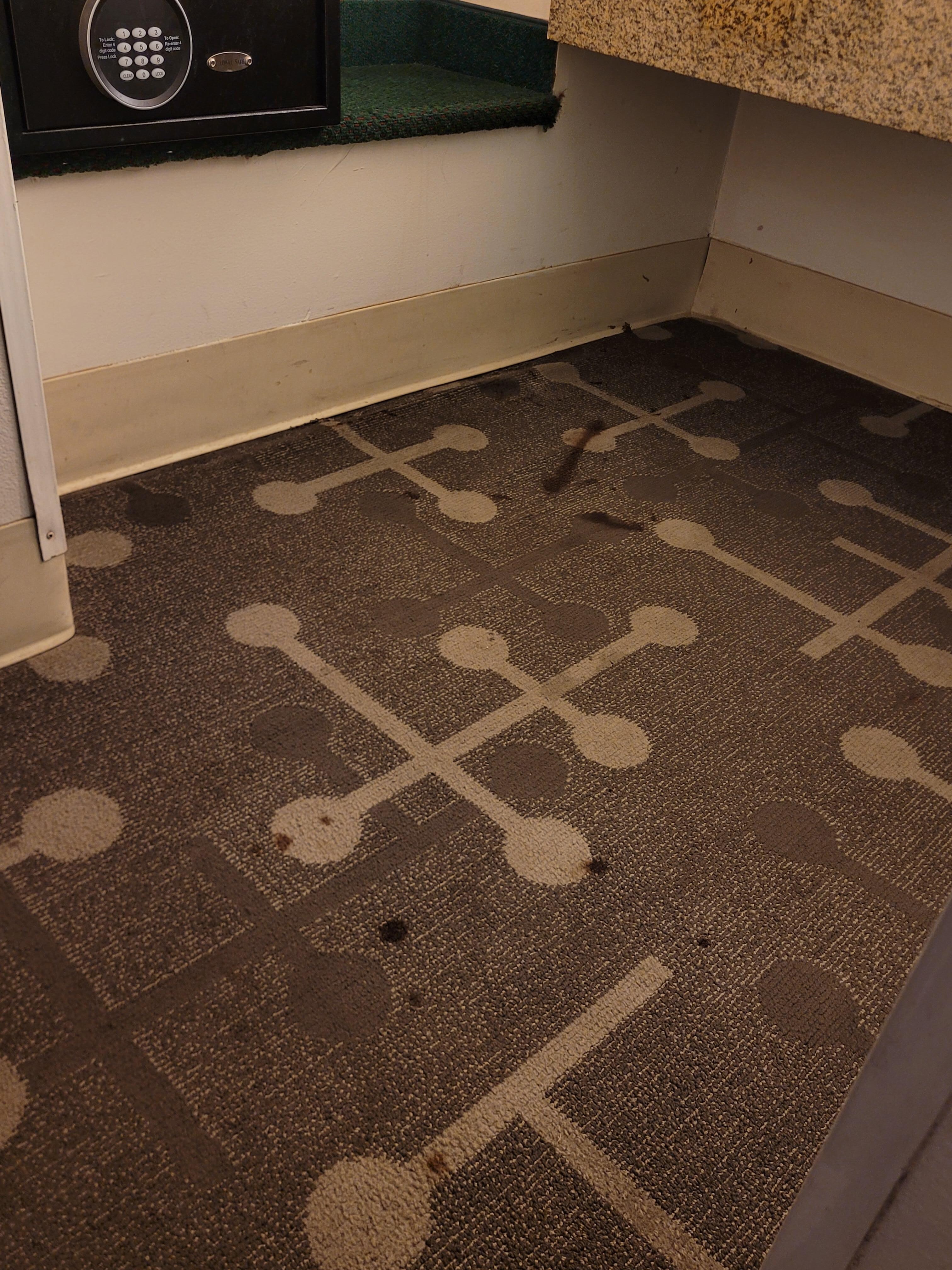 Deep brown stained carpets