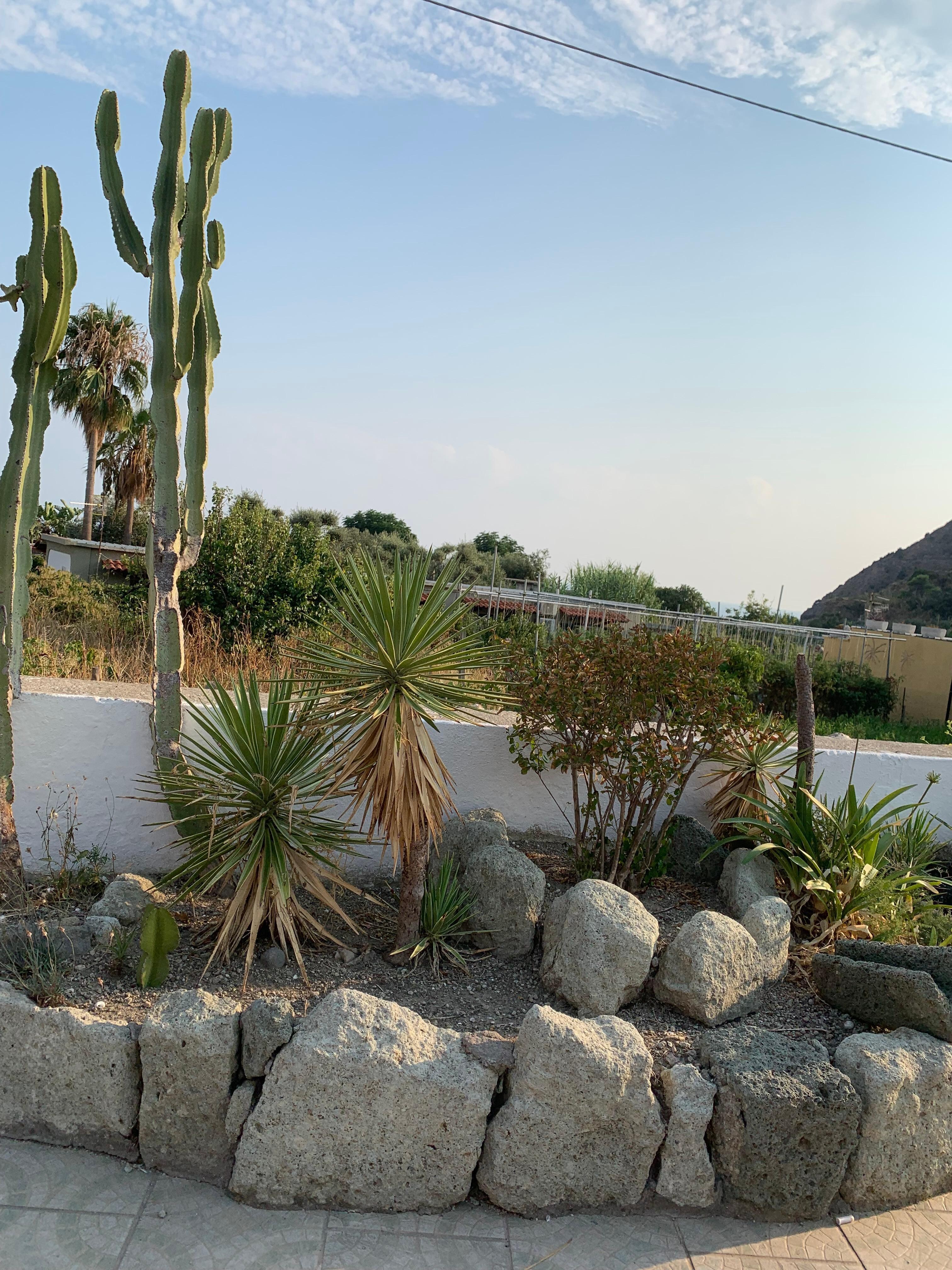 Jardin de la piscine 