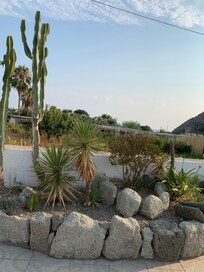 Jardin de la piscine