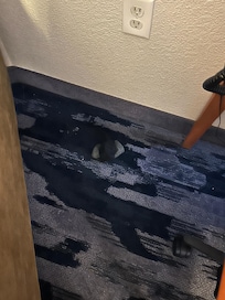 Dirty sock, not ours!