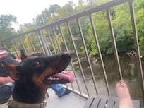 Great balcony view