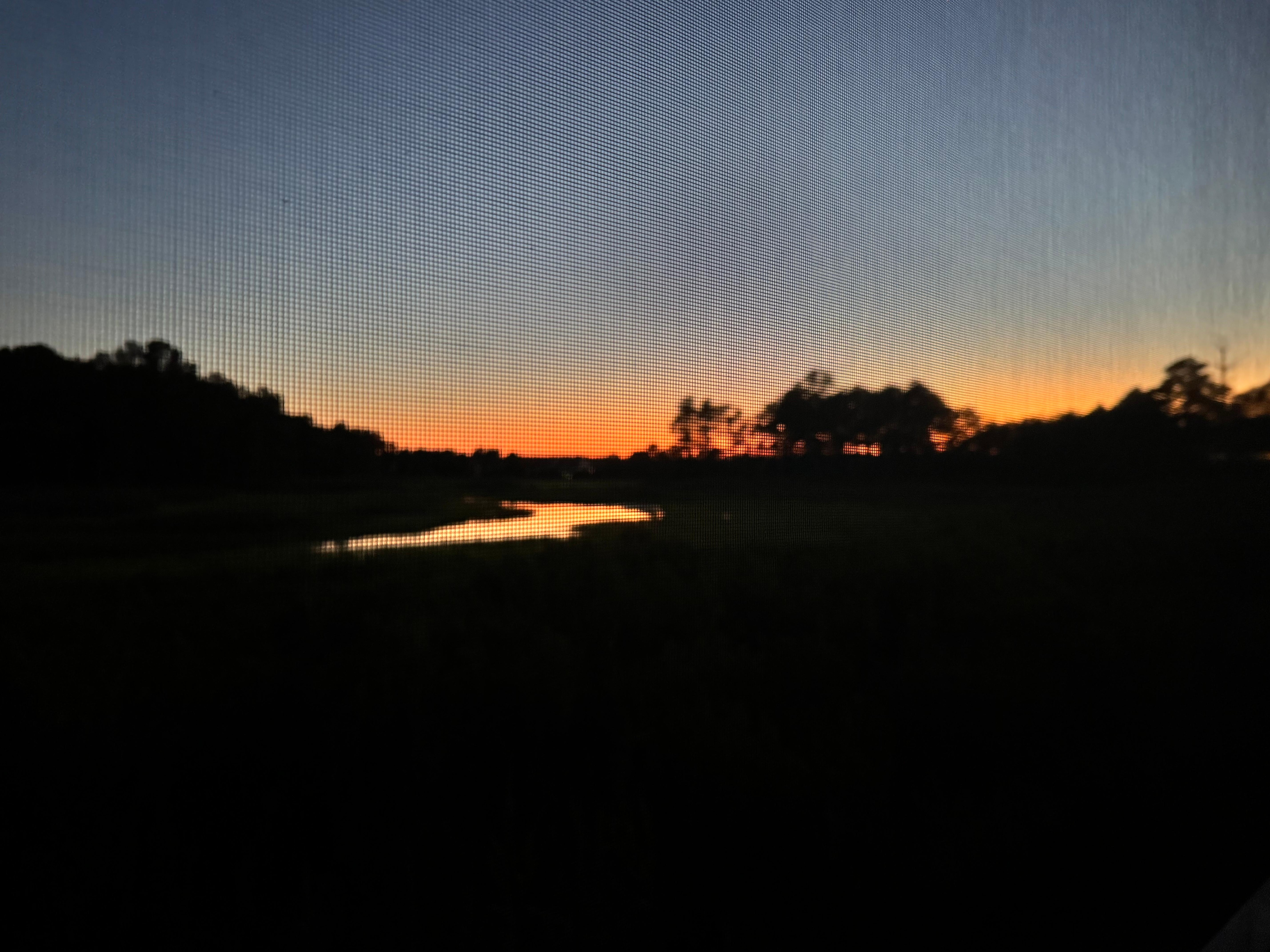View from the screened in back patio