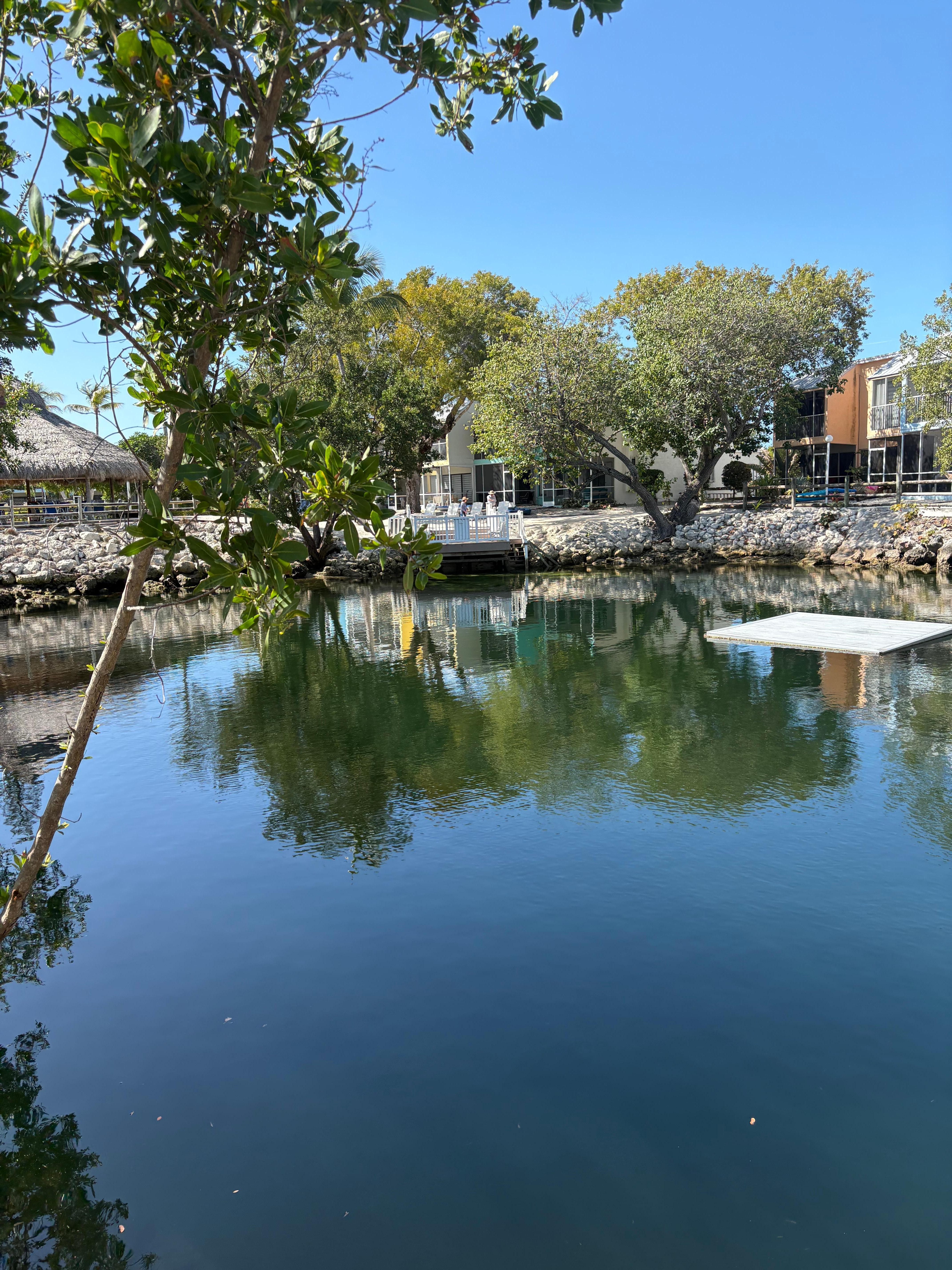 The lake within the Kawama property
