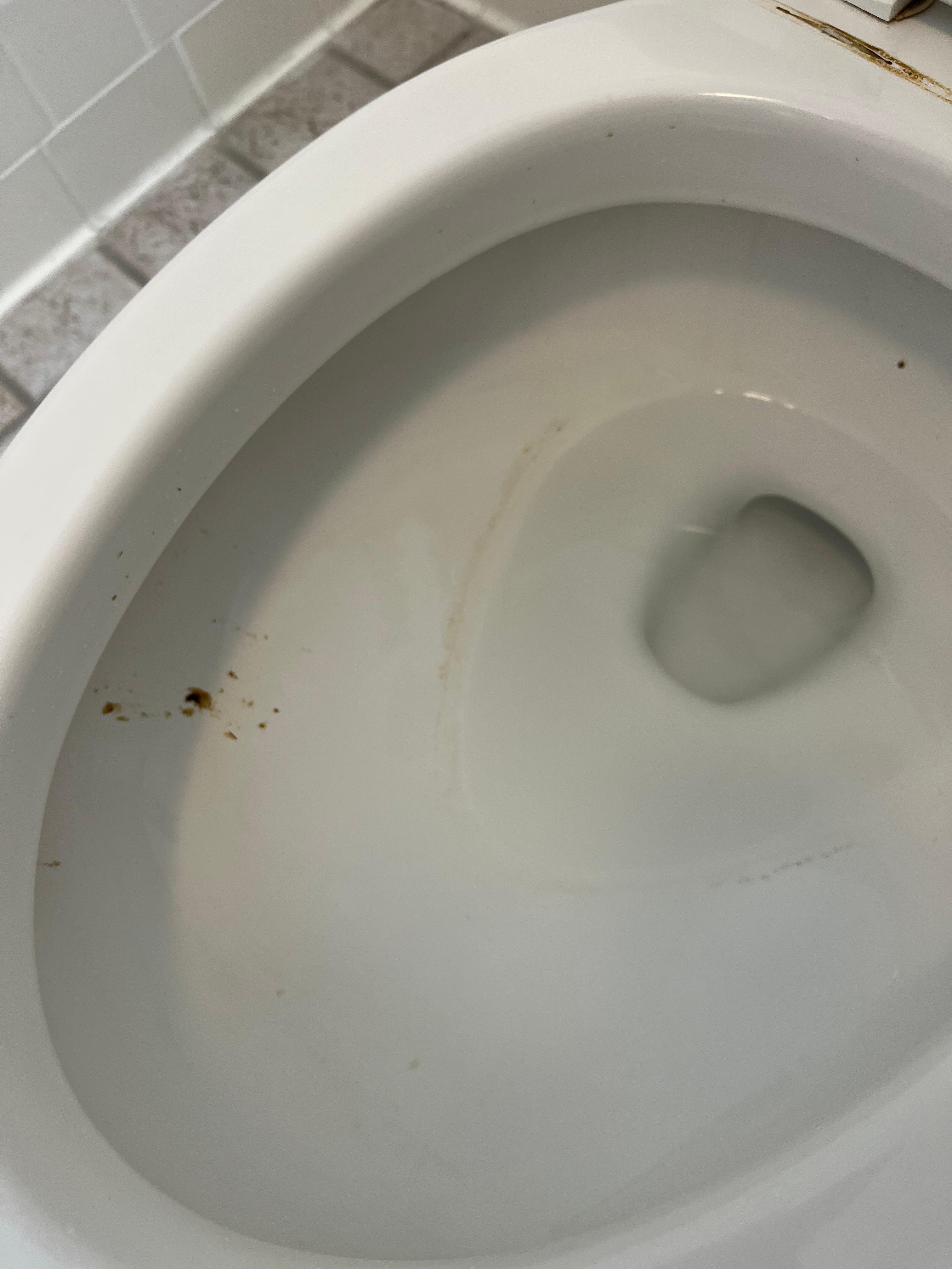 Crap still in toilet