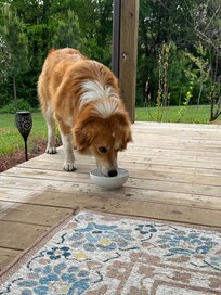 We loved getting visits from Sunshine. She is the sweetest.