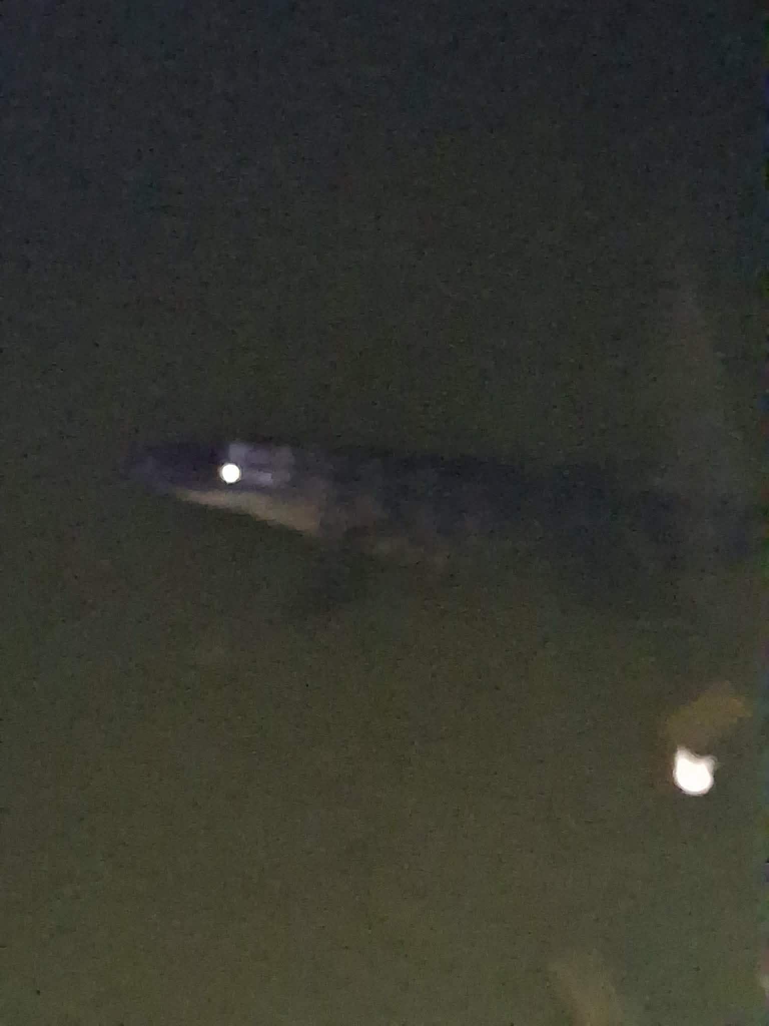 Got to see gators by pool in water. 