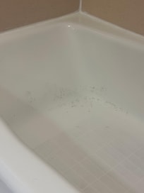 Dirty bathtub, clearly news not clean before other customer enter to the room.
