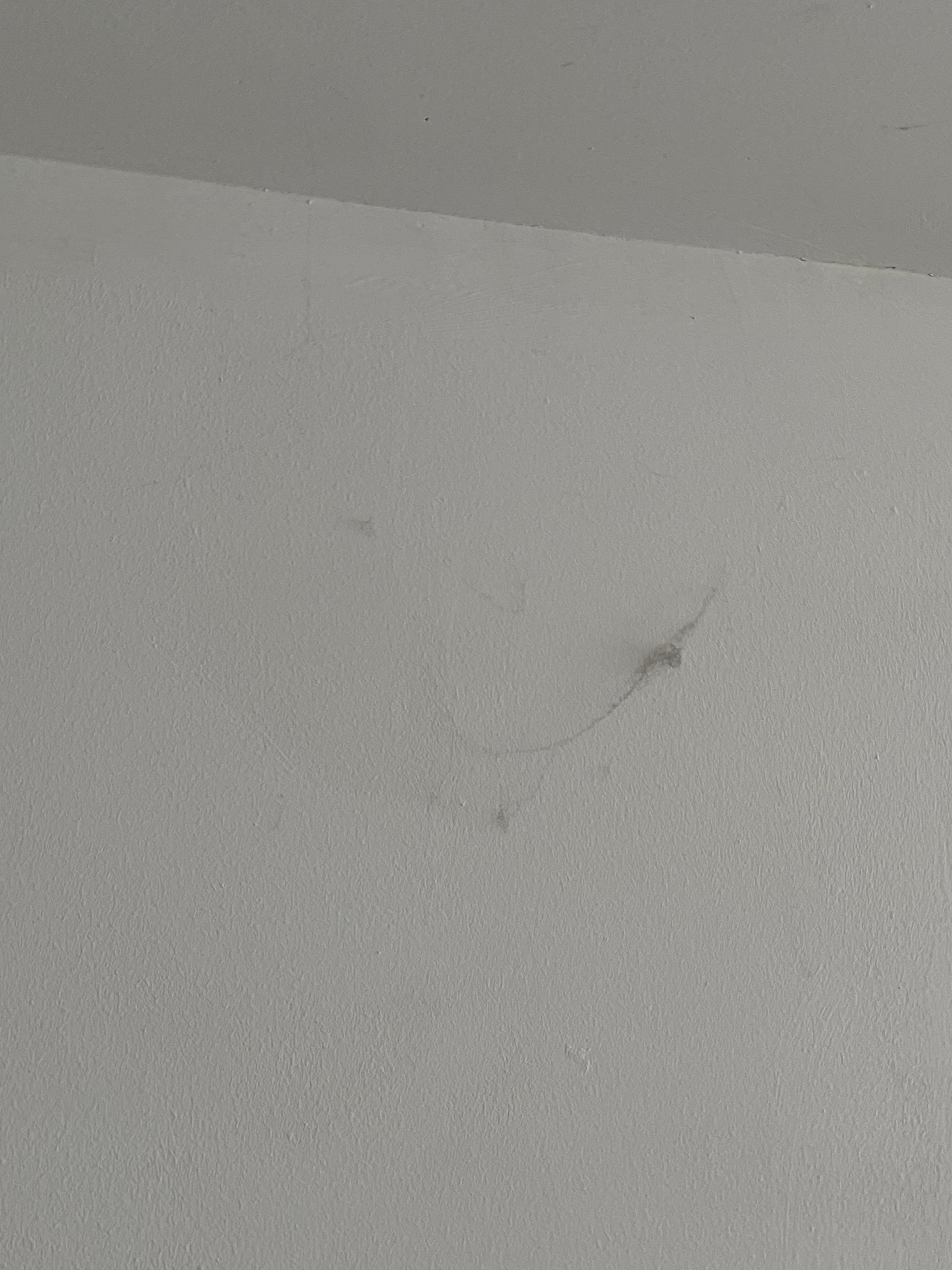 Wall