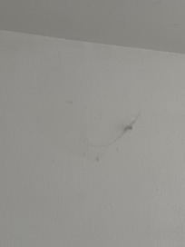 Wall