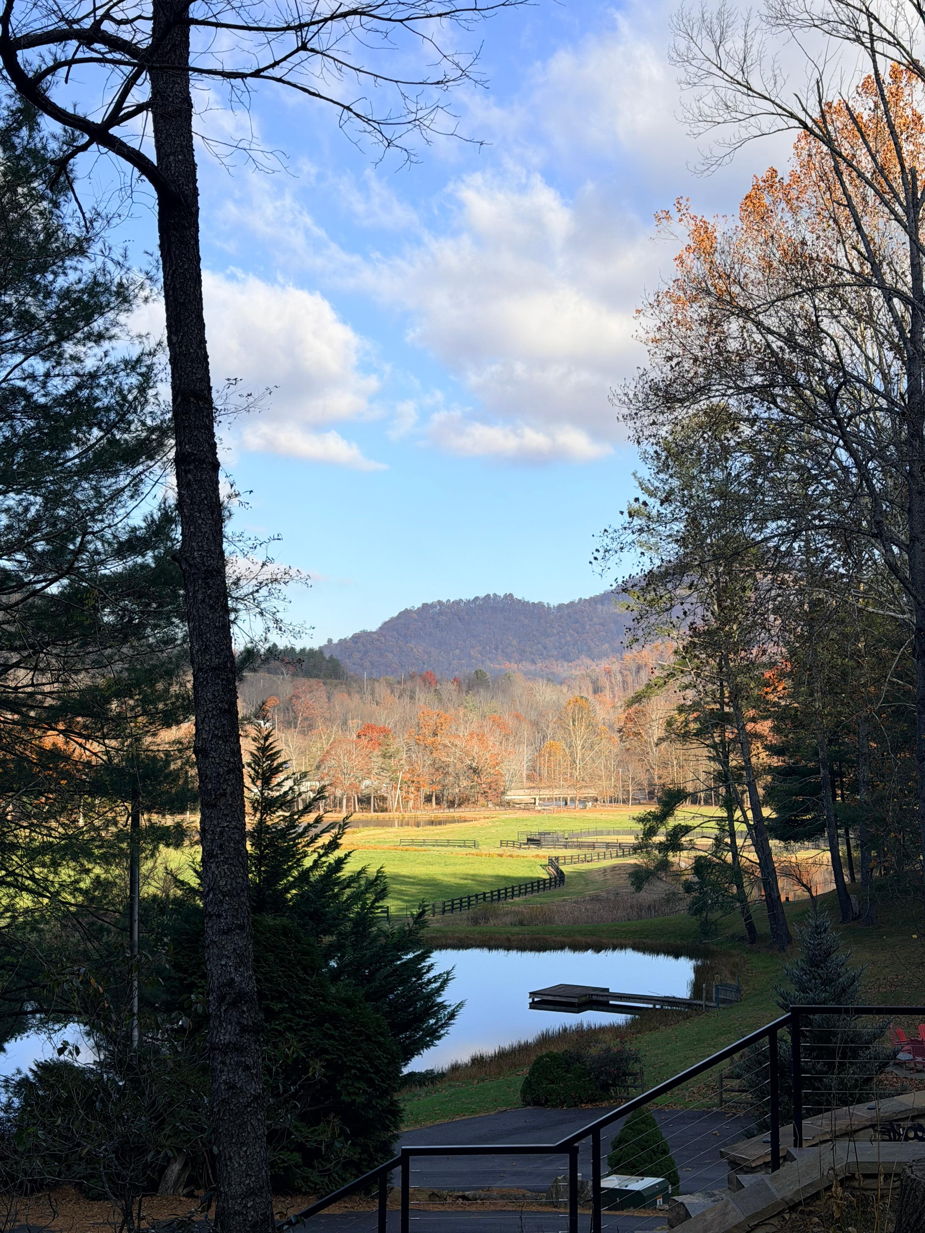 View from the front porch 