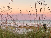 Taken alongside walkway to beach from condo complex.